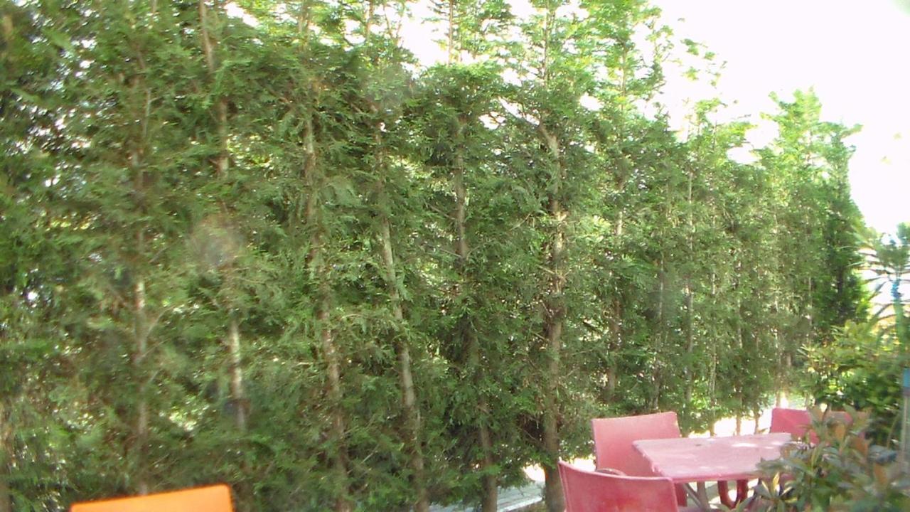 Shkoder Hotel Temali Екстериор снимка